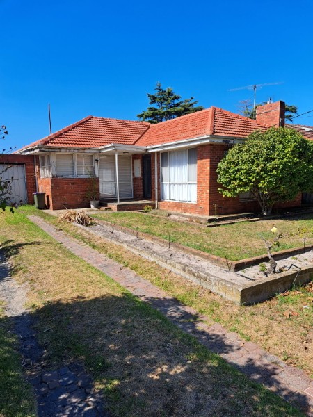Roof after pressure cleaning showing clean tiles