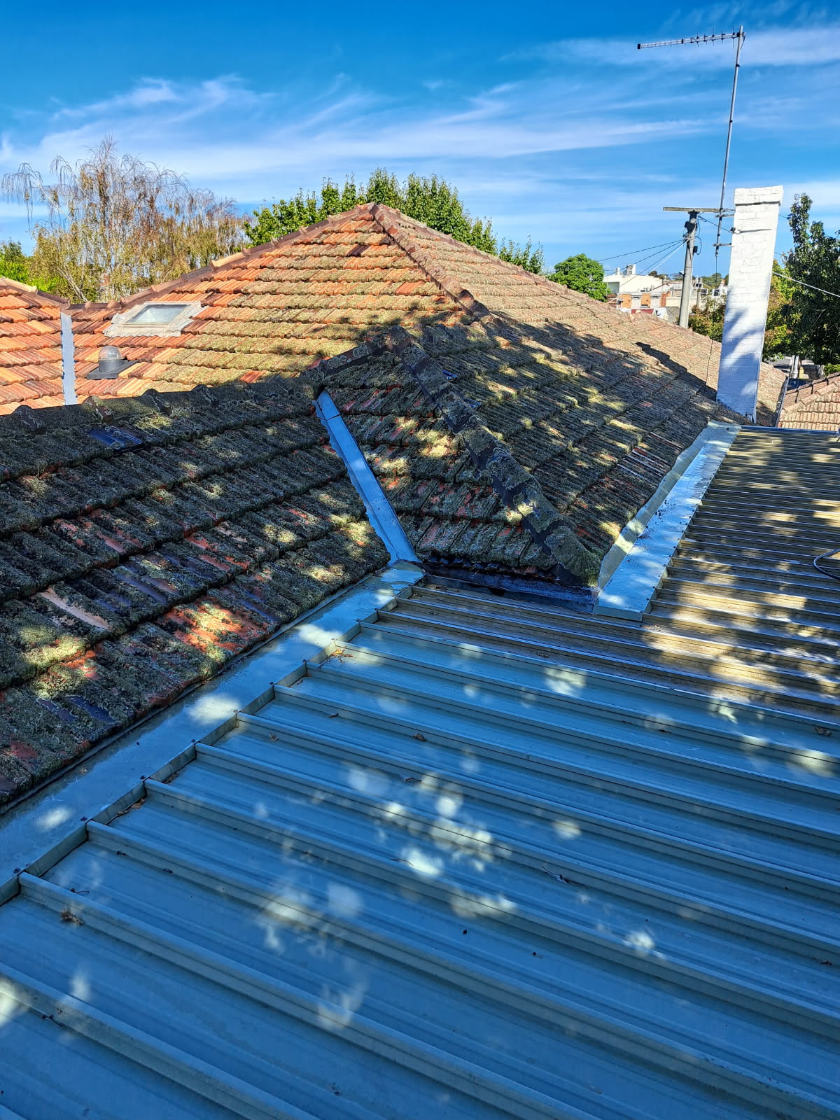 Side roof tiles covered in lichen