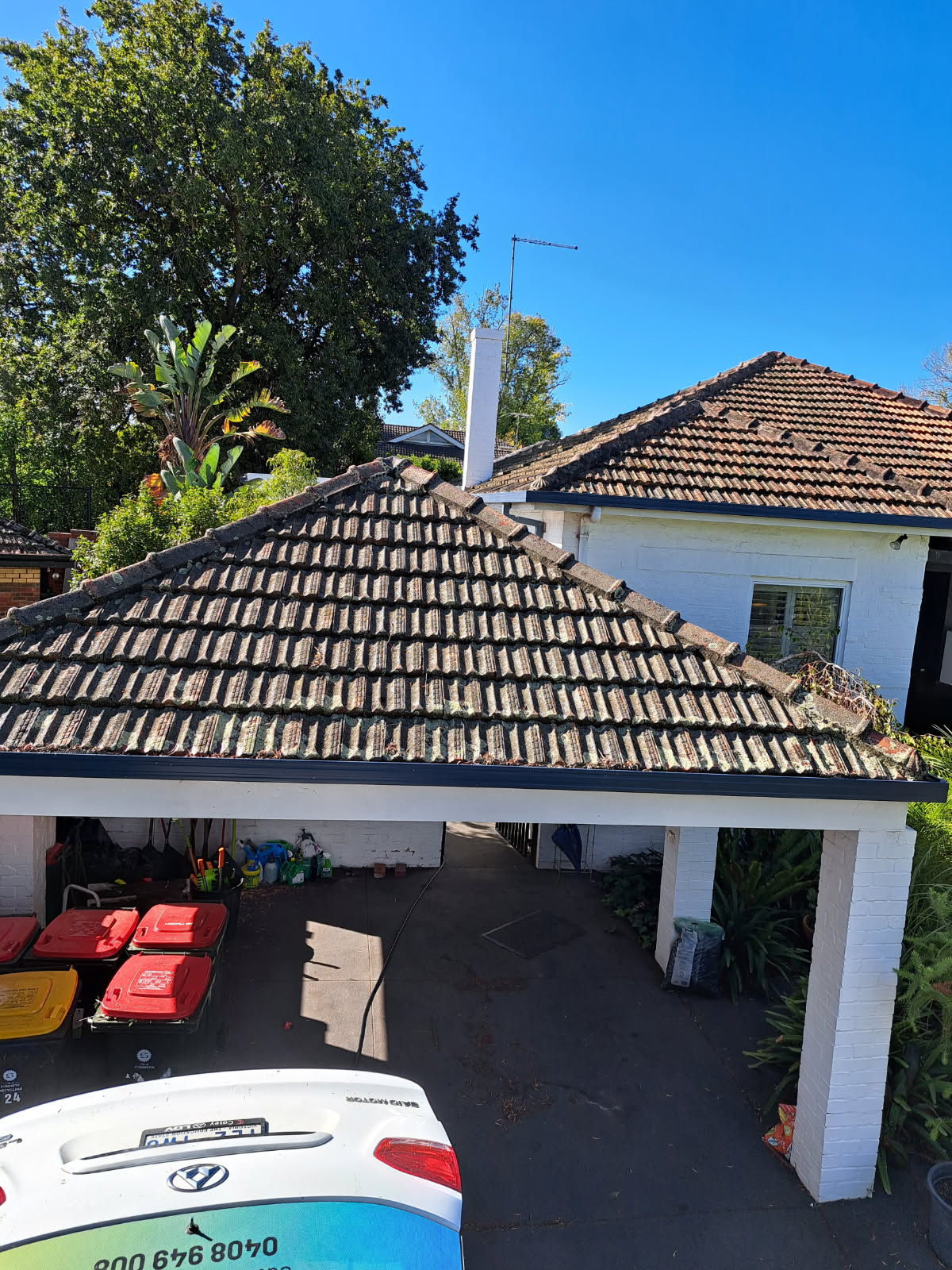 Front roof tiles covered in lichen