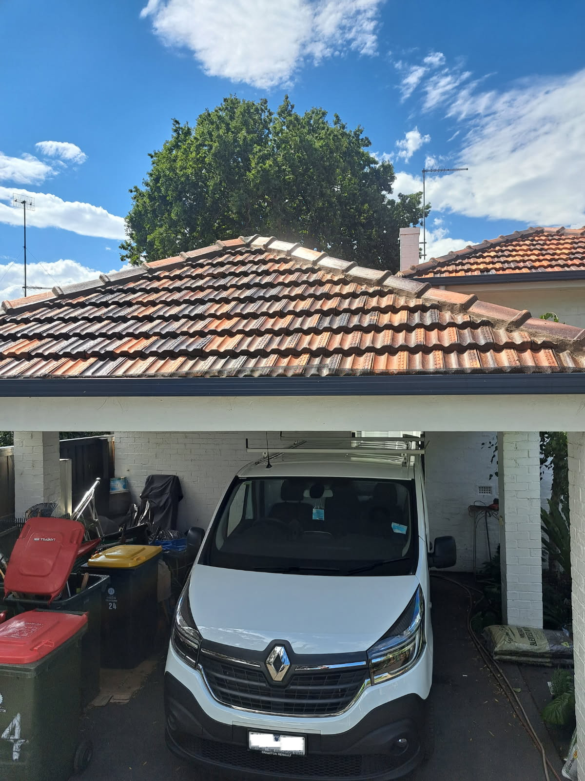 Front roof tiles after lichen removal